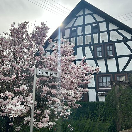 Das Pautzen Haus Daun Eksteriør bilde