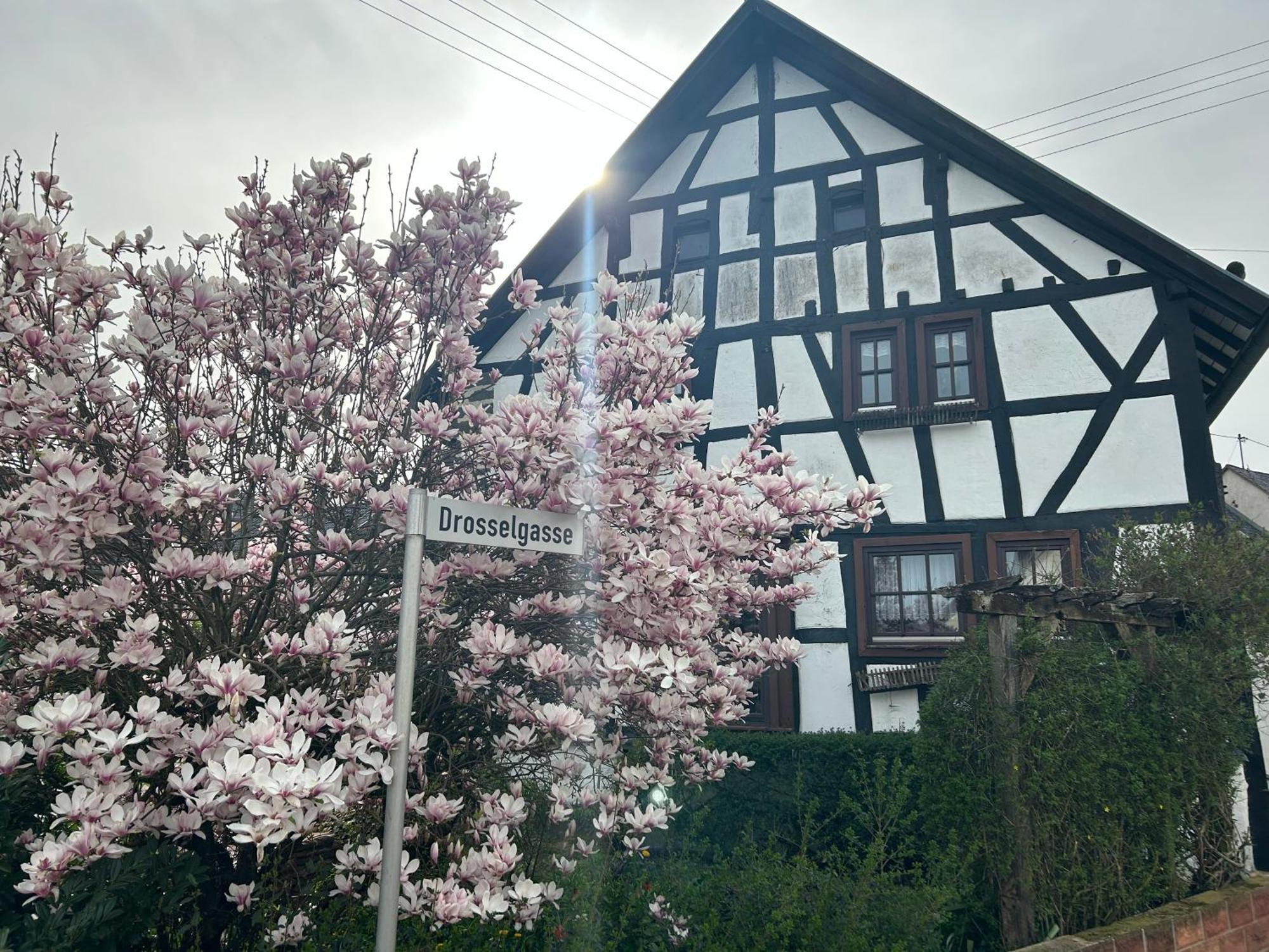 Das Pautzen Haus Daun Eksteriør bilde