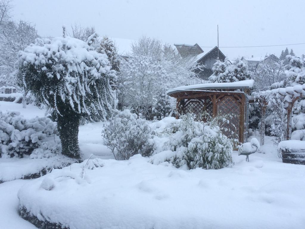 Das Pautzen Haus Daun Eksteriør bilde